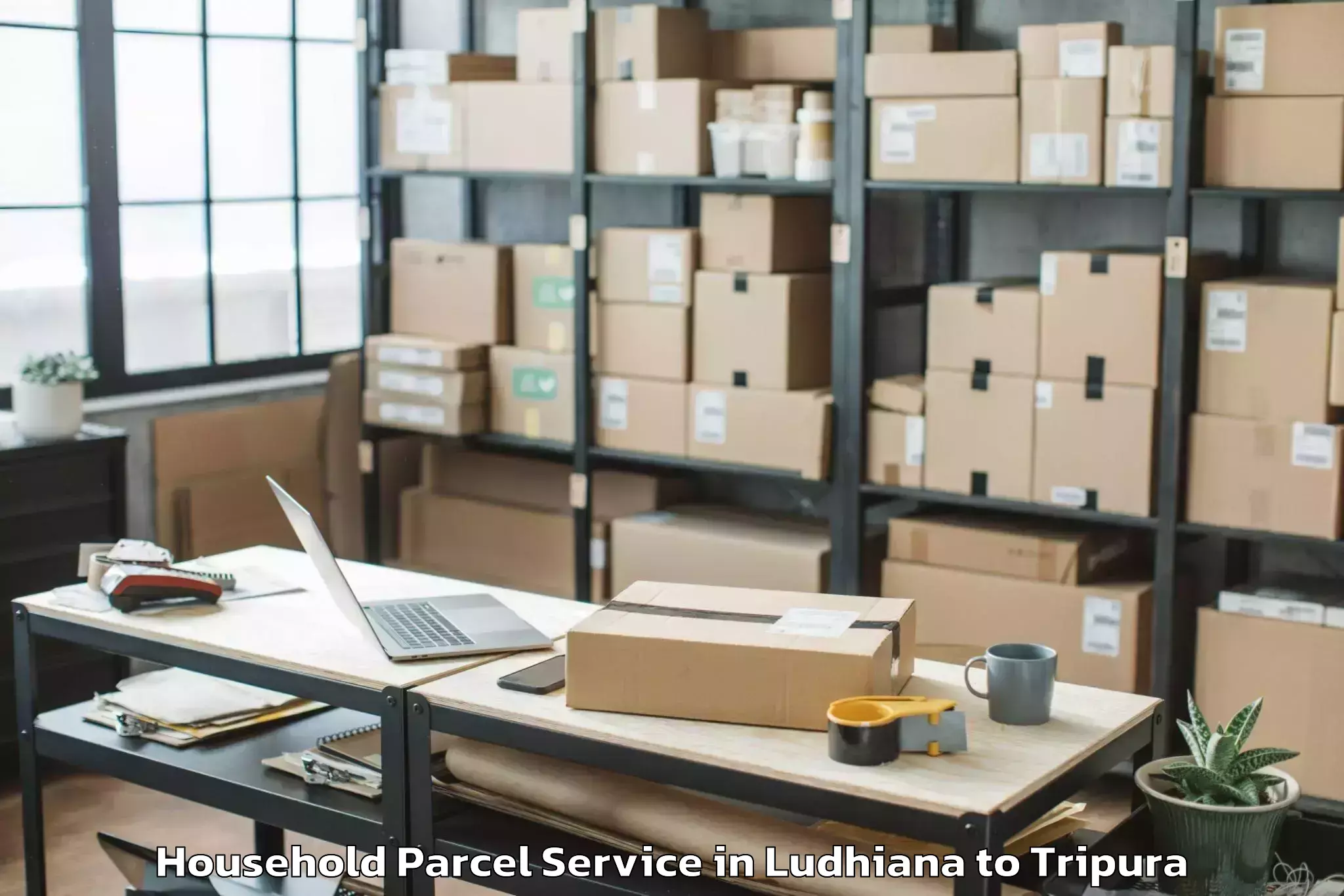 Book Your Ludhiana to Panisagar Household Parcel Today